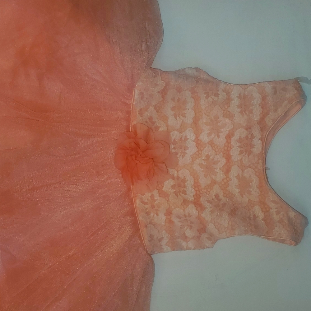 Peach Princess Dress